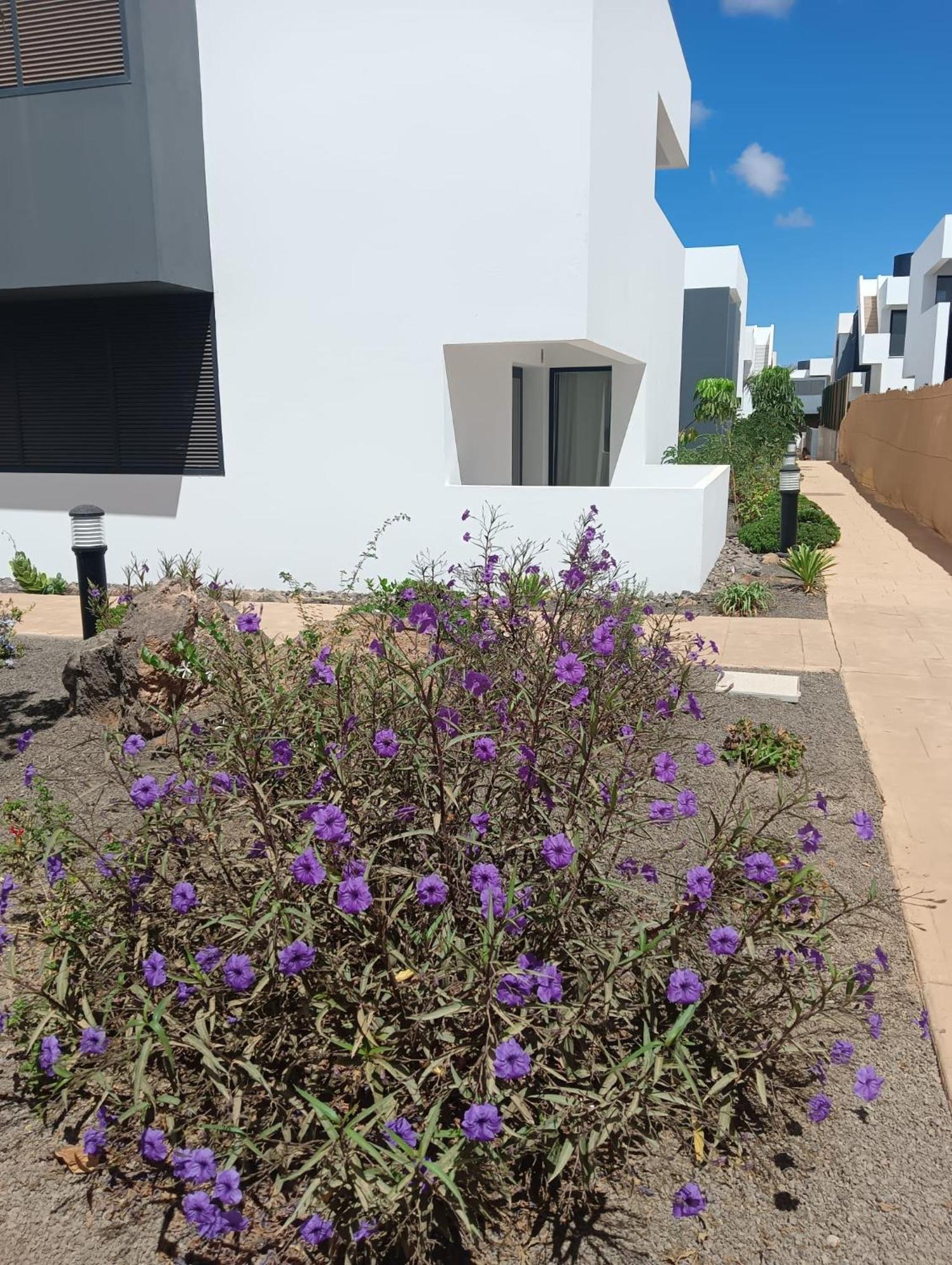 Aulaga Appartement Villaverde  Buitenkant foto